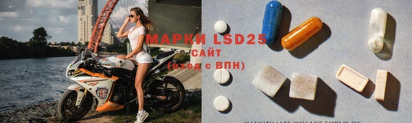 прущие грибы Абаза