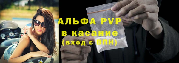 прущие грибы Абаза