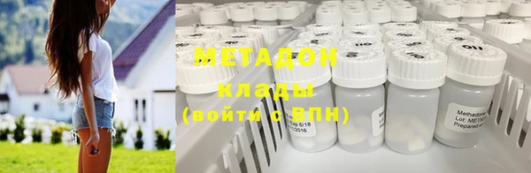 прущие грибы Абаза