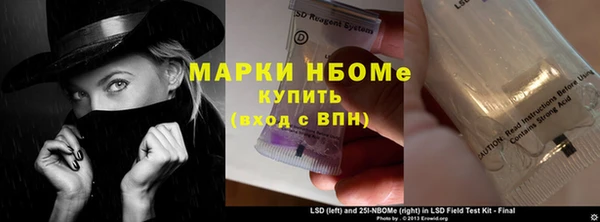 прущие грибы Абаза