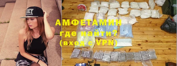 прущие грибы Абаза