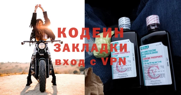 прущие грибы Абаза