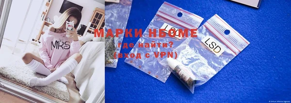 стаф Абинск