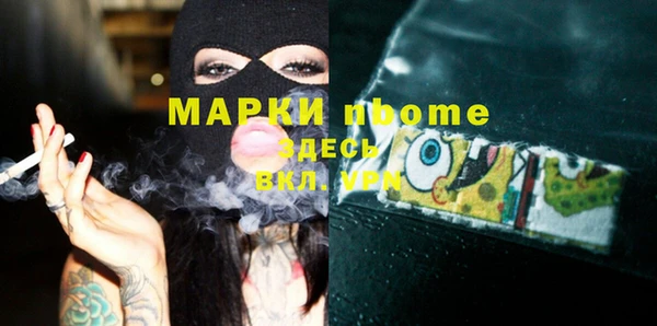 прущие грибы Абаза