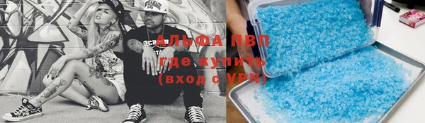 стаф Абинск