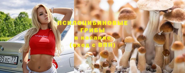 стаф Абинск