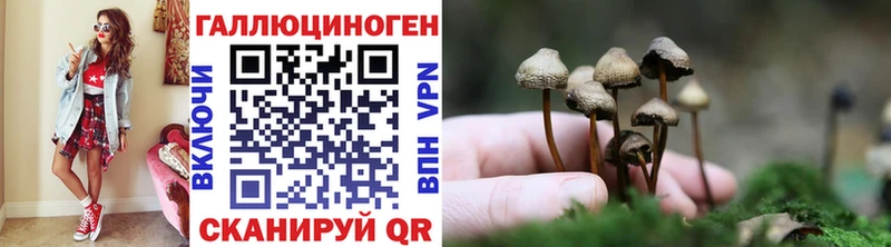Галлюциногенные грибы мухоморы  площадка какой сайт  Екатеринбург 