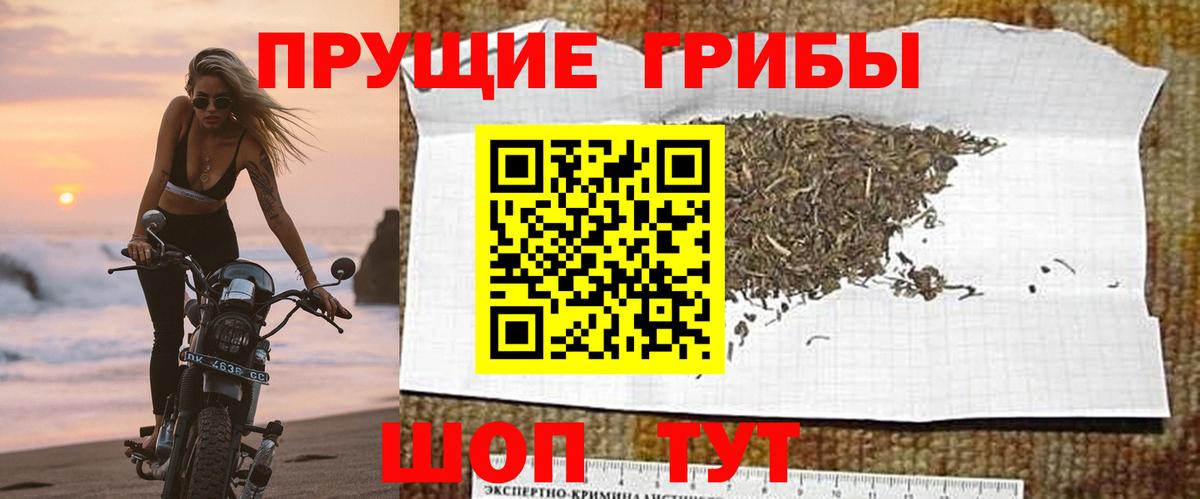 Псилоцибиновые грибы Magic Shrooms  Вход с VPN  Екатеринбург 