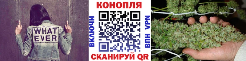 купить закладку  Екатеринбург  Шишки марихуана ГИДРОПОН 